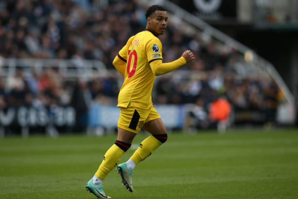 沃库森的背 沃库森的背